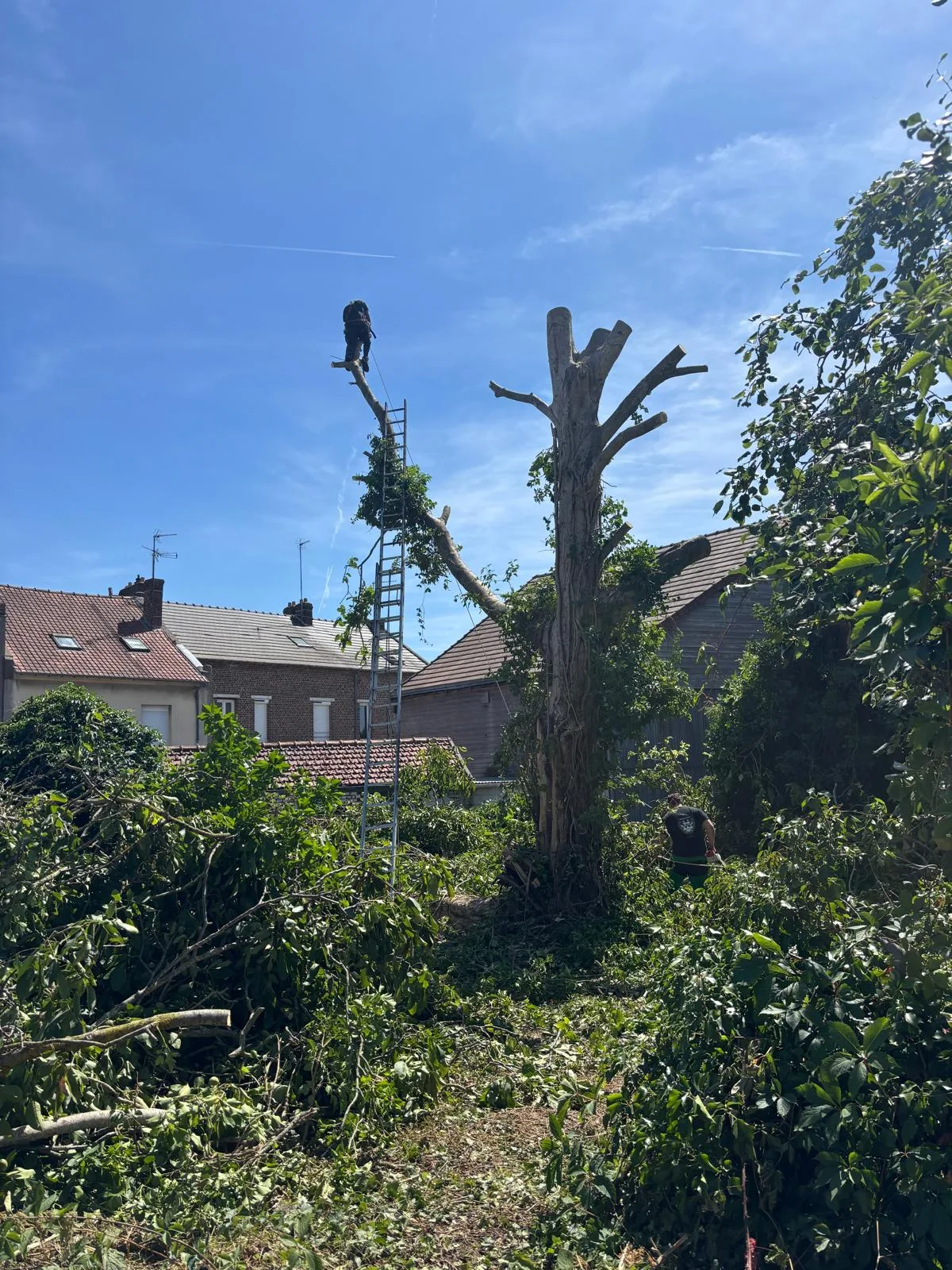 Réalisation de chantier